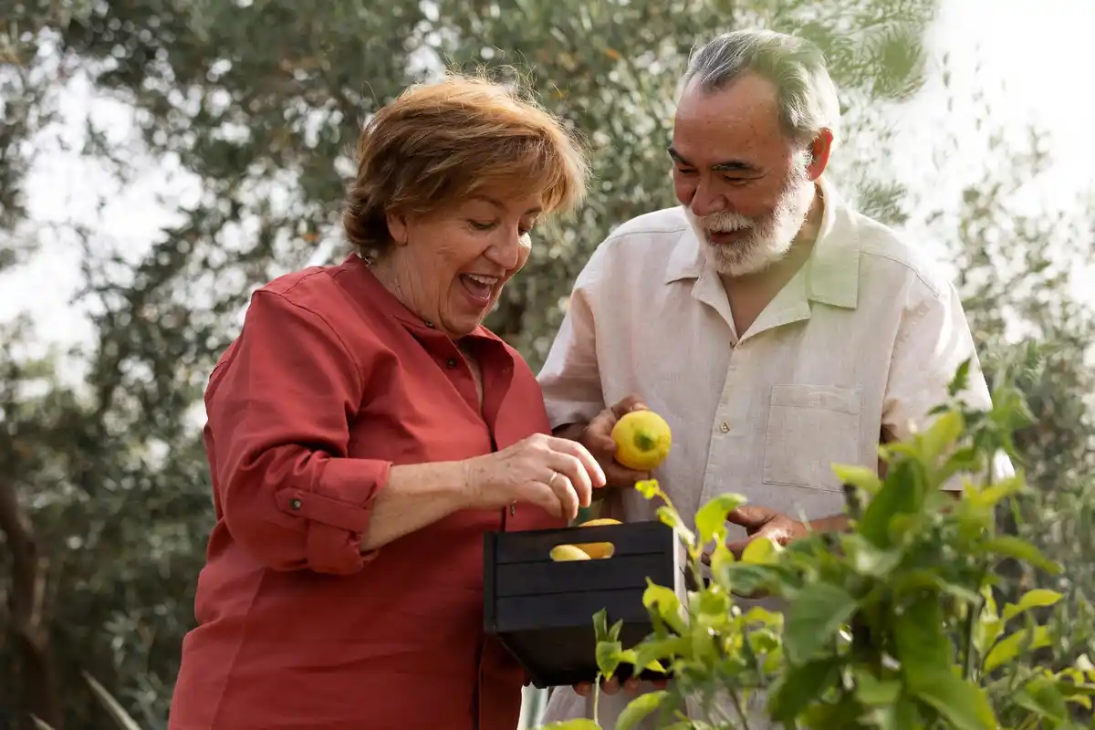 elderly couple planting fruit trees in Dutch garden