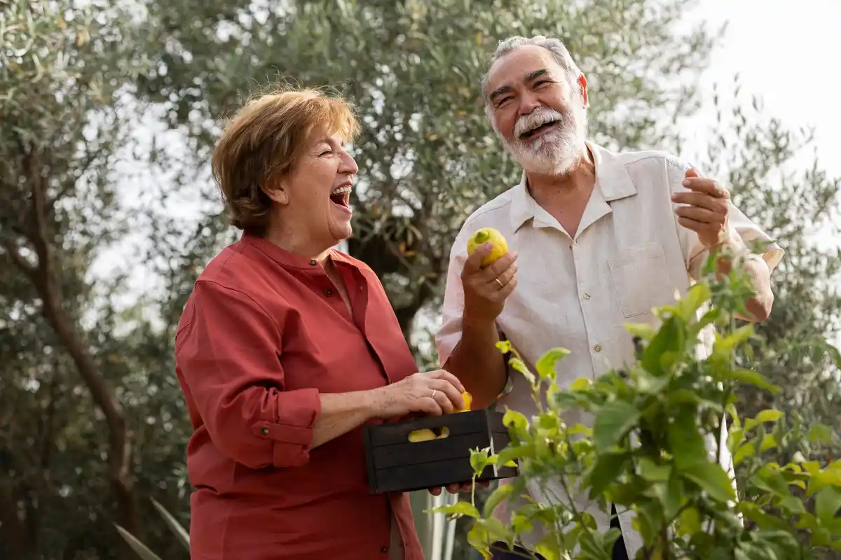 elderly couple planting fruit trees in Dutch garden