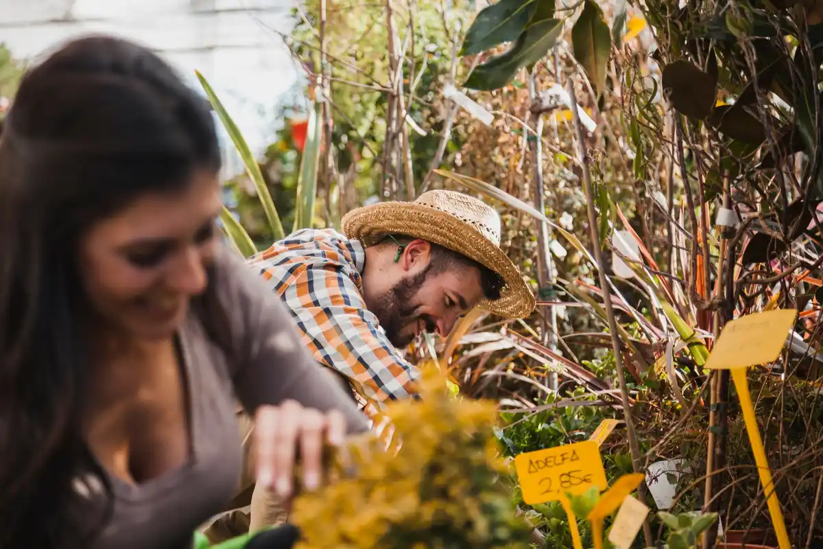 Community sharing seeds Dutch garden