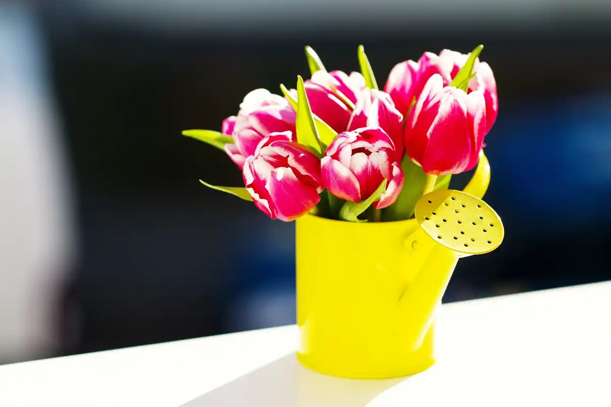 banana peels in vase with flowers, close up, Dutch home, natural light