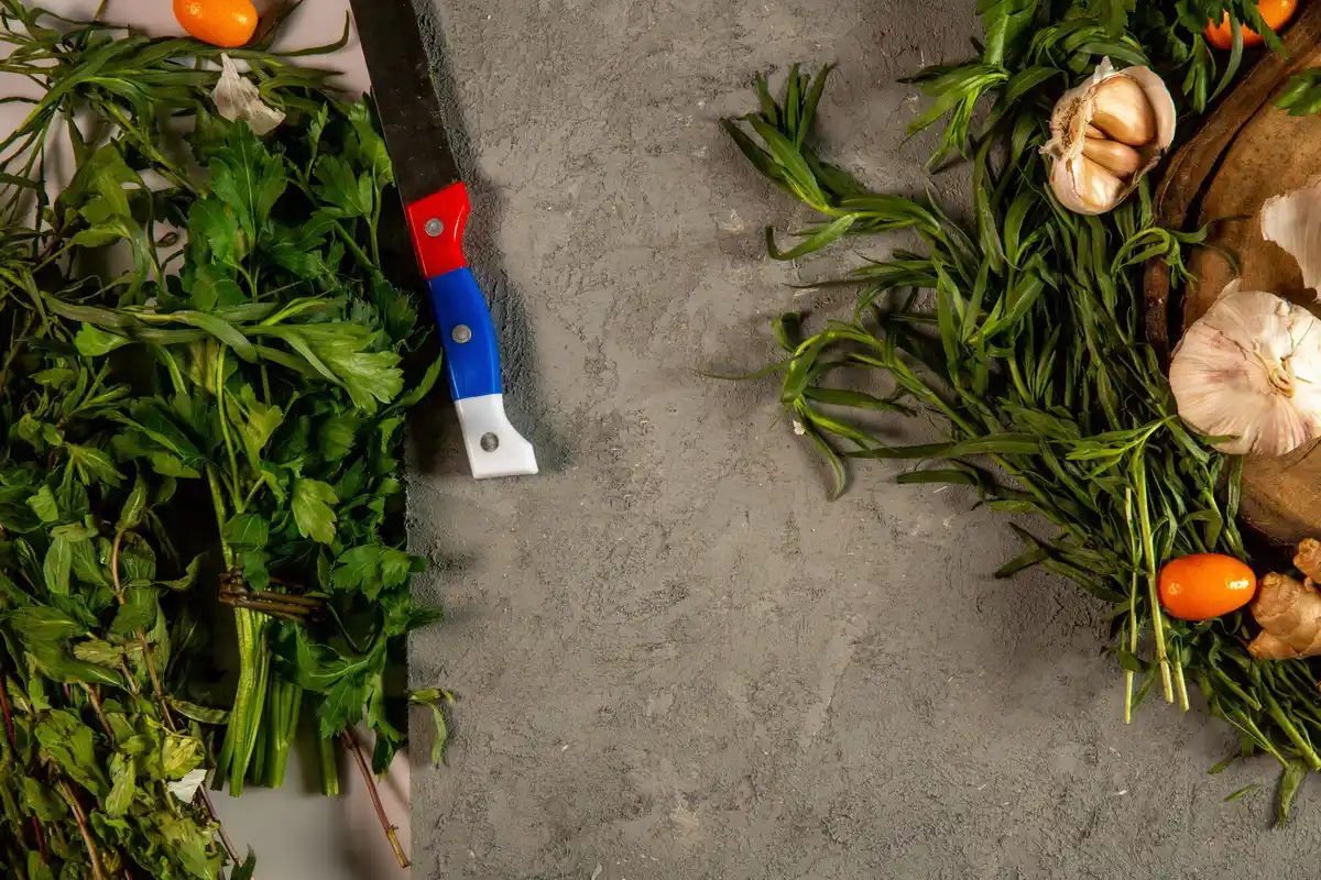 dutch backyard vegetable garden hack