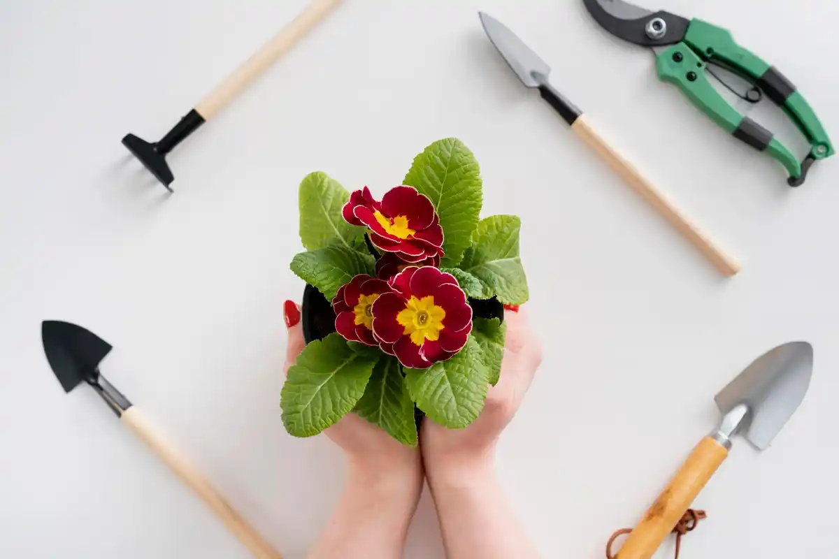 modern garden hand tools eco trend netherlands