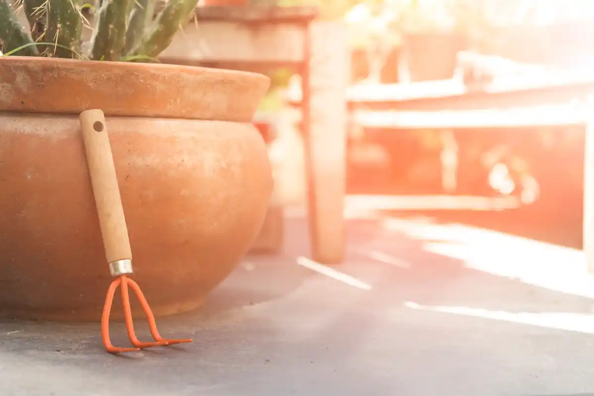 vintage garden tools dutch backyard sunny