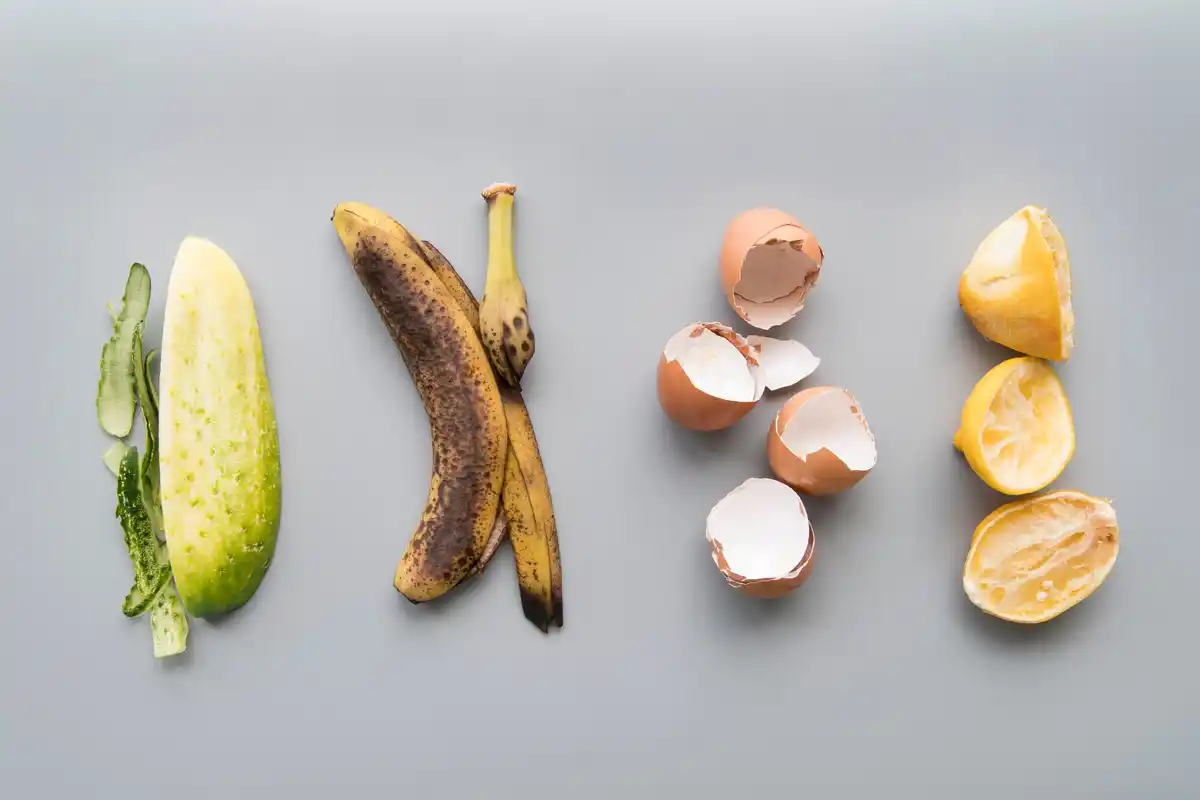 compost banana peel garden closeup