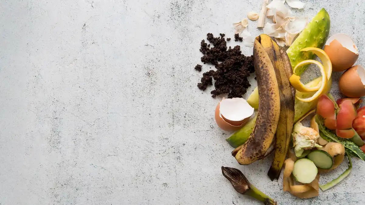 closeup compost heap with banana peels and garden waste dutch