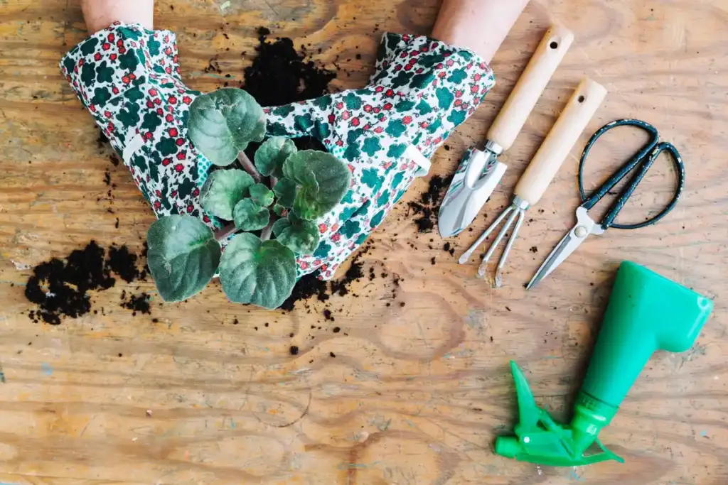 dutch garden household seed sowing hack spring 2025 trend