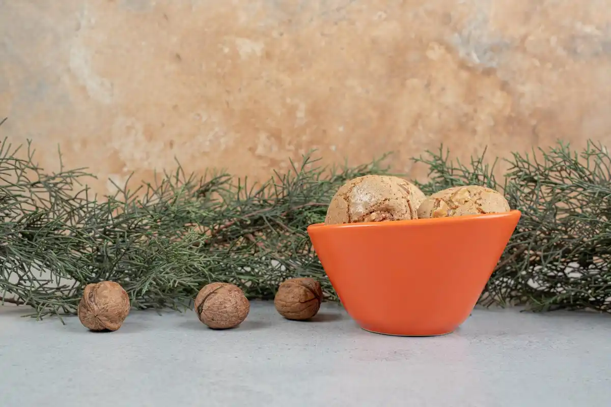 seedlings yogurt cups egg shells recycled planters