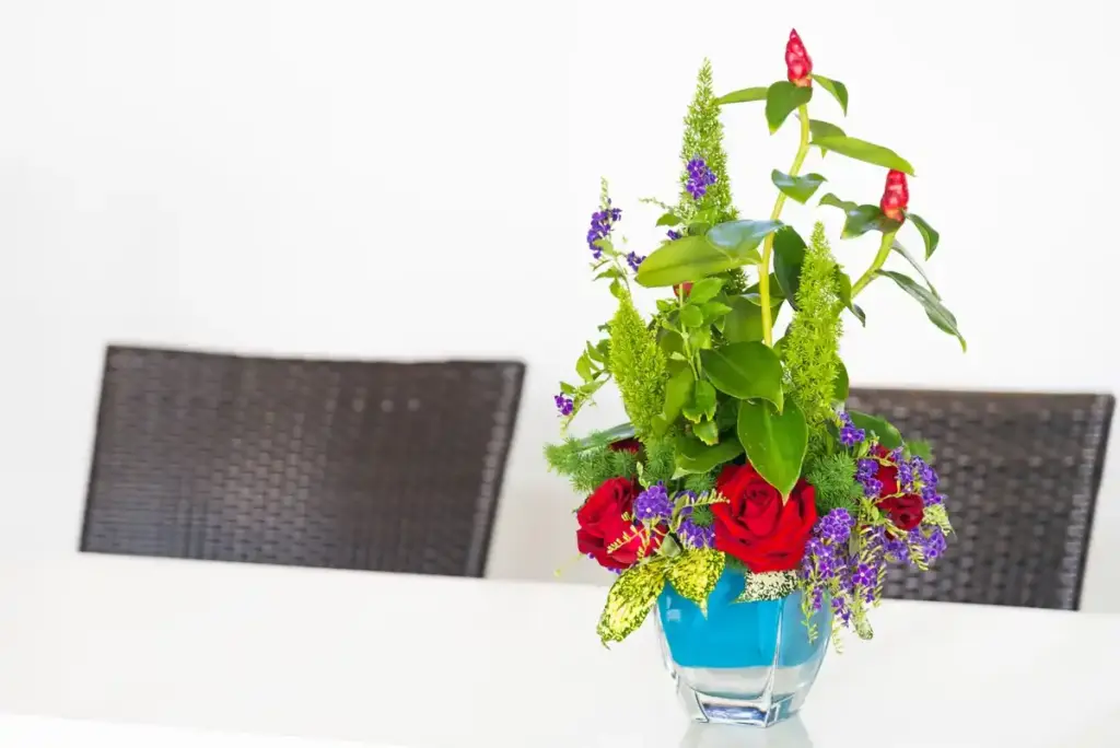 feng shui herb garden vibrant kitchen window