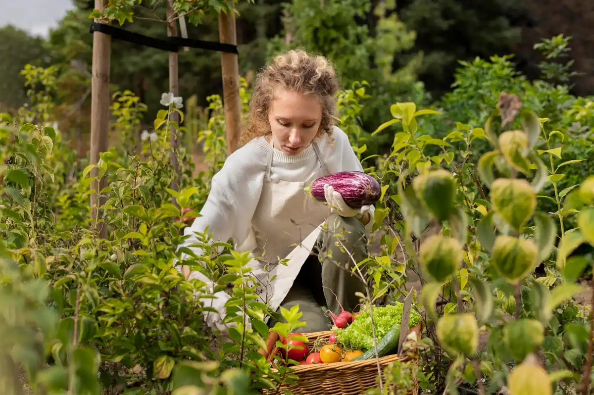 organic dutch home vegetable garden