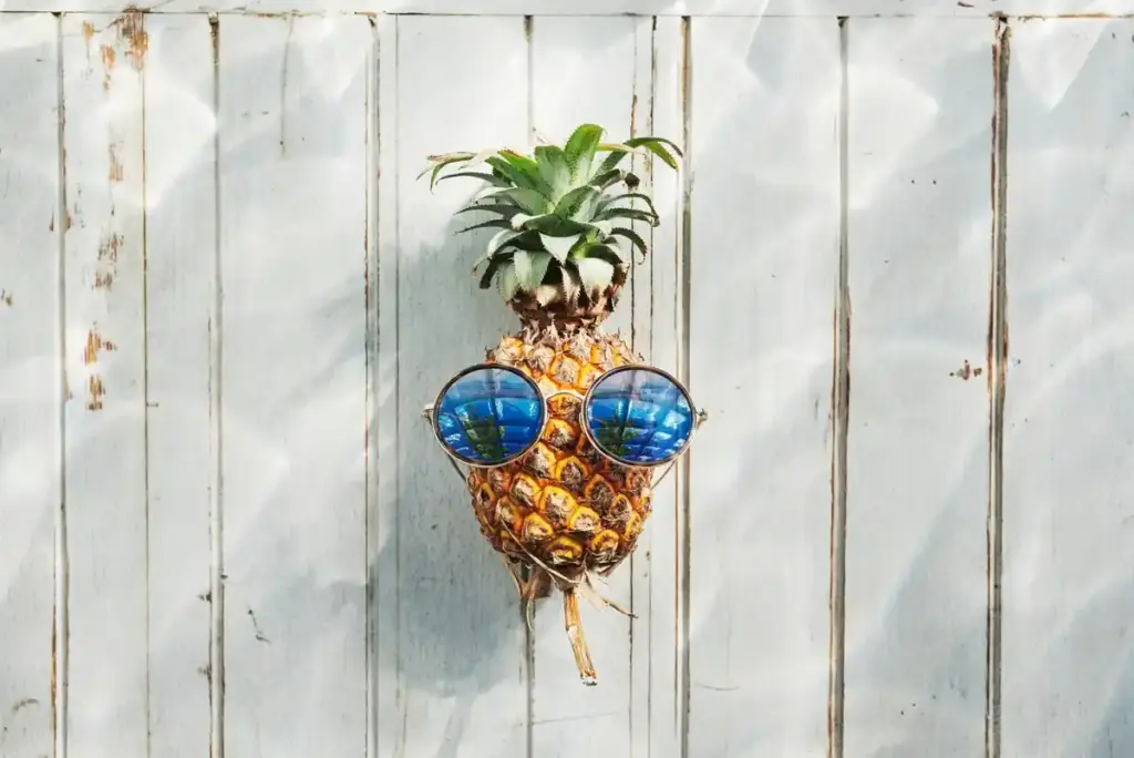 recycled old windows garden ideas