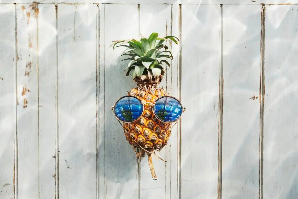 recycled old windows garden ideas
