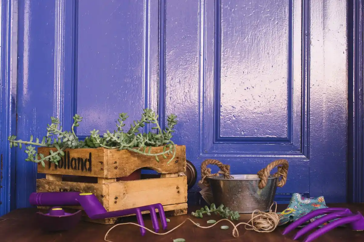 vintage window frame outdoor garden decoration