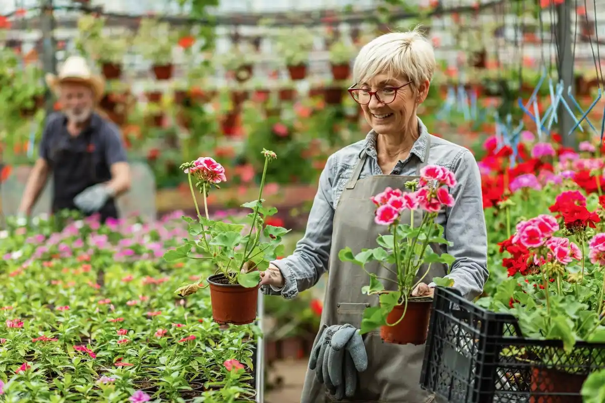 elderly woman gardening raised bed netherlands