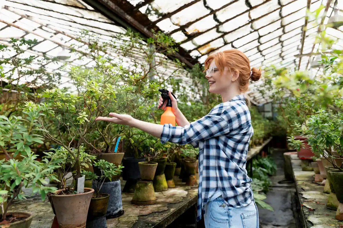 greenhouse mistakes bad location netherlands home garden