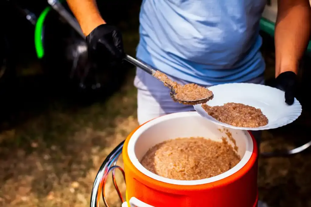 coffee grounds garden slugs prevention DIY Netherlands