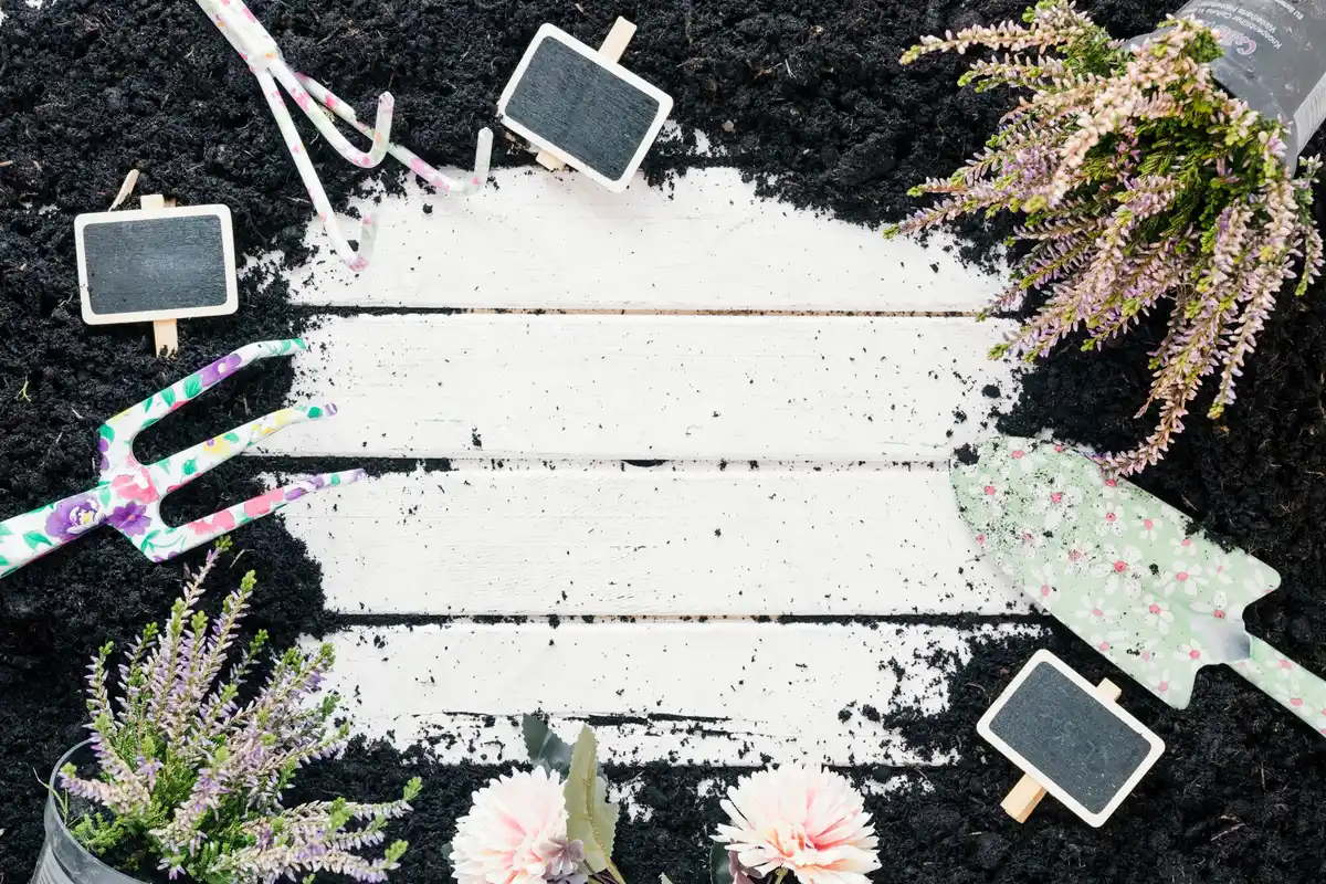 Garden borders with spilled flour and slugs