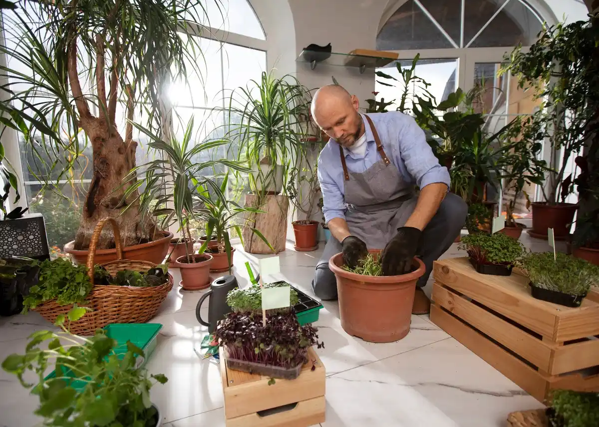elderly gardening raised greenhouse dutch backyard