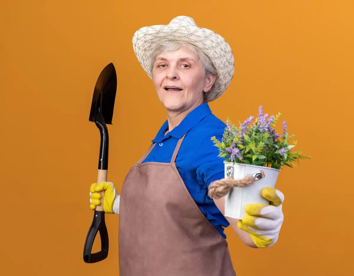 senior Dutch gardener with blooming flowers