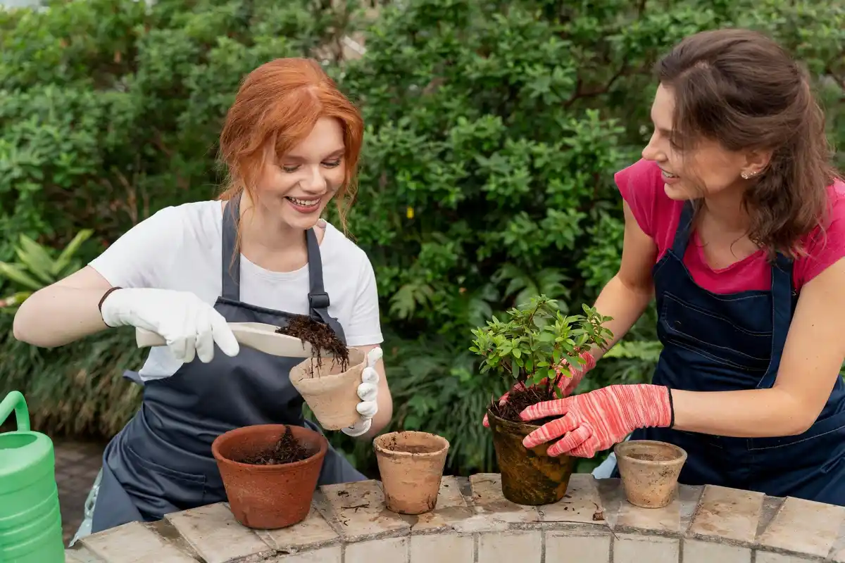 easy garden seeds for seniors Netherlands