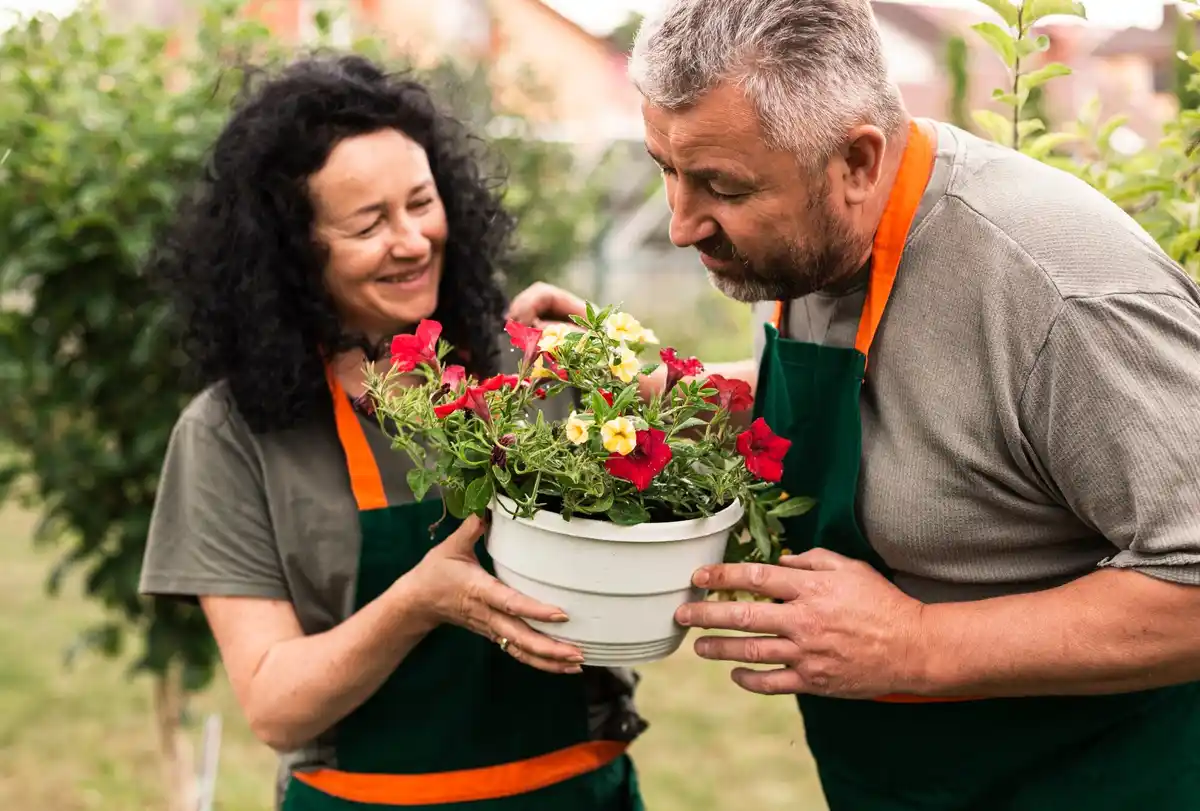 elderly gardeners Netherlands urban garden