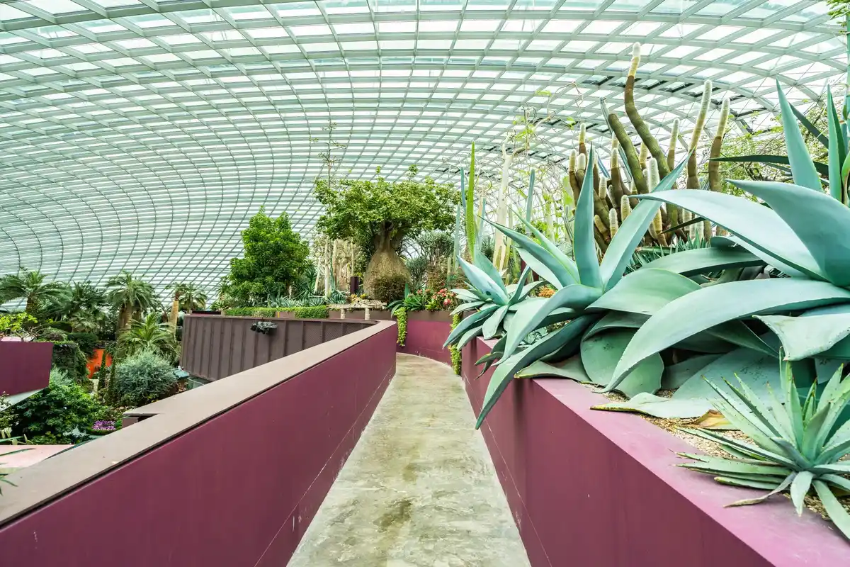 ventilated greenhouse interior healthy plants