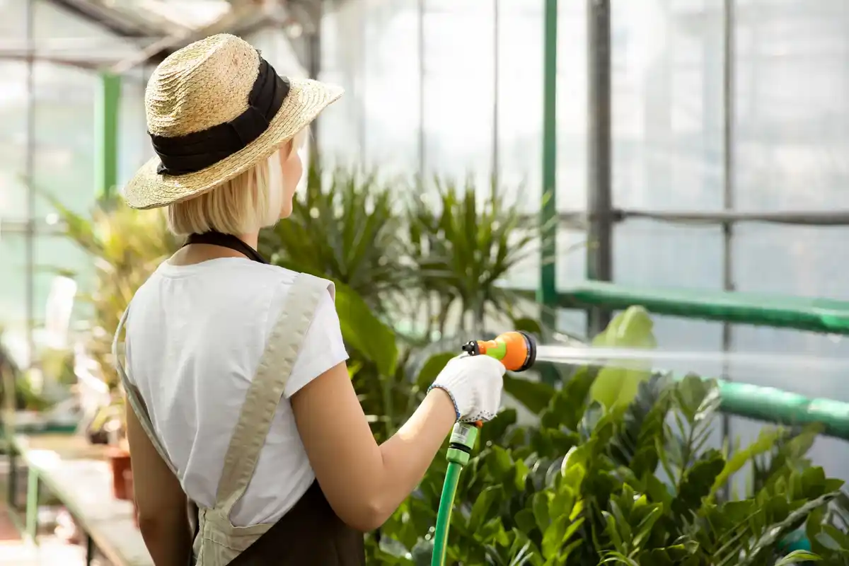 organic greenhouse disease prevention local Dutch allotment