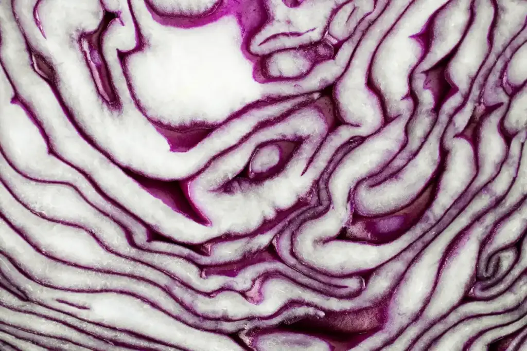 dutch parsnip vegetable closeup winter market
