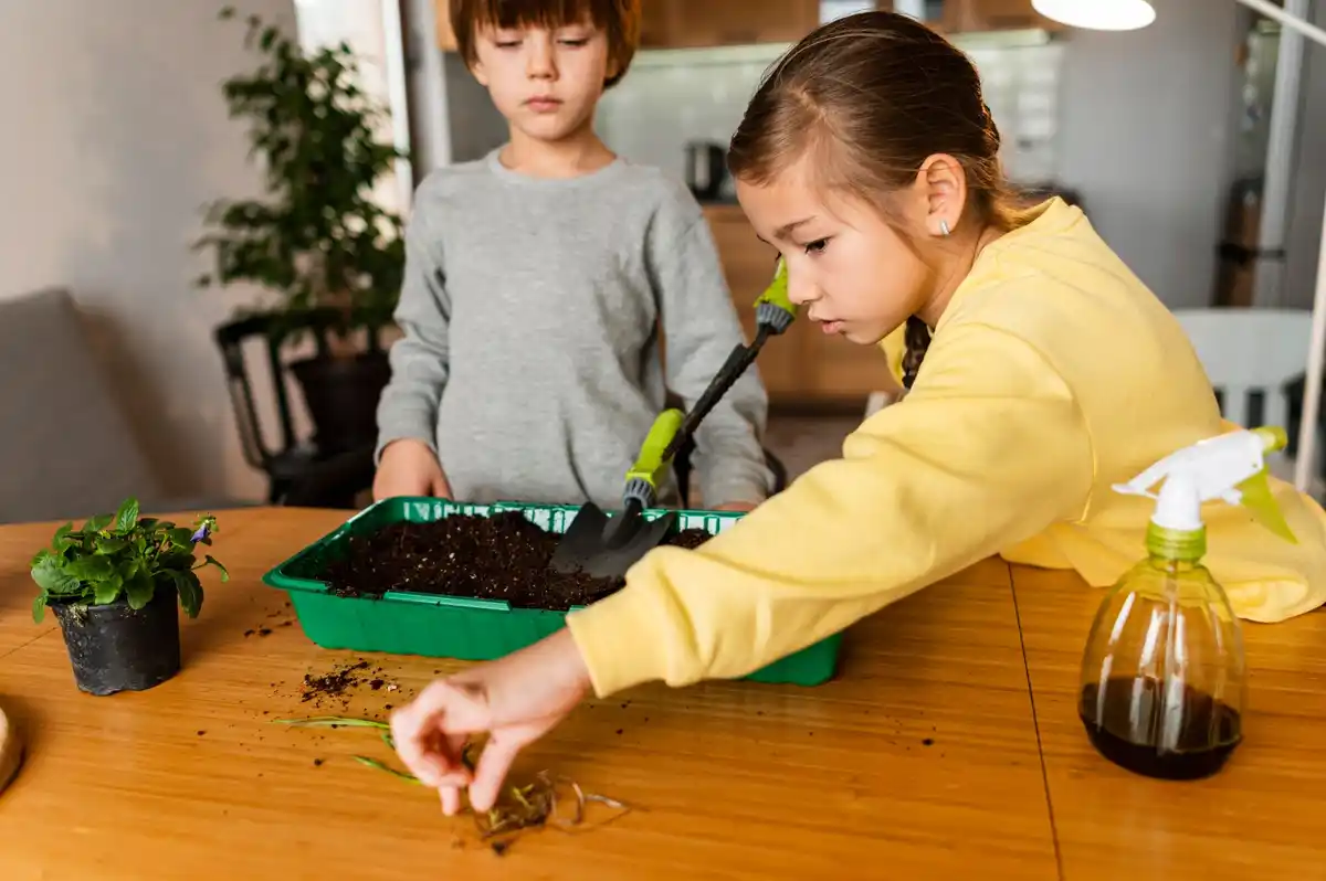 toxic garden seeds, pet safety, Dutch garden