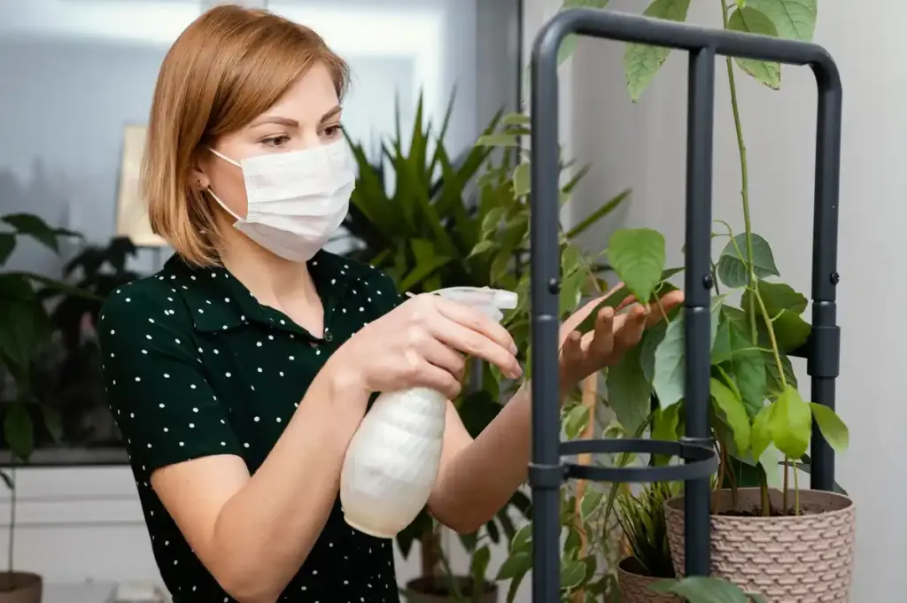 preventing mold greenhouse netherlands practical
