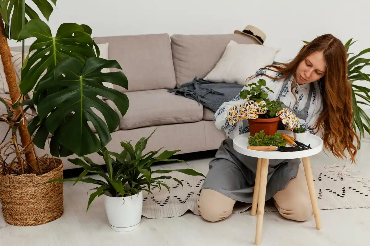 trendy indoor houseplants in Dutch living room 2025