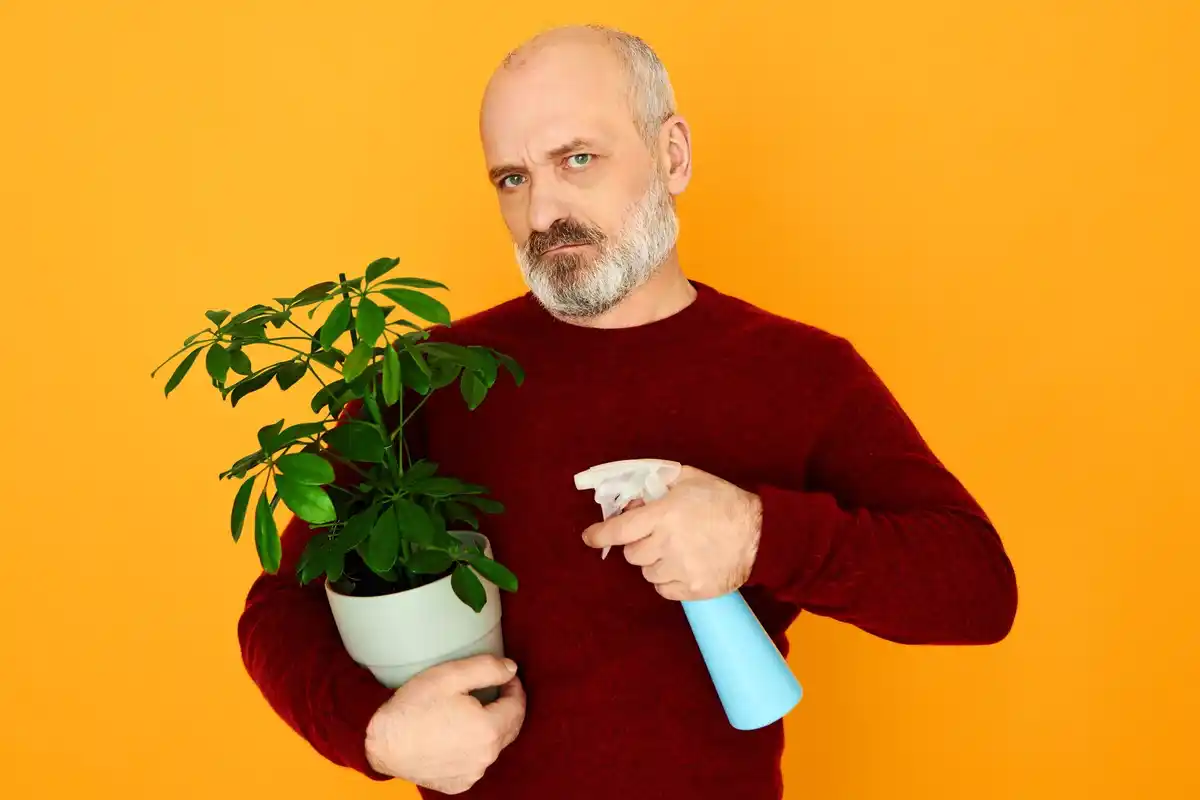 damage to garden plants from chemical fertilizer overdose