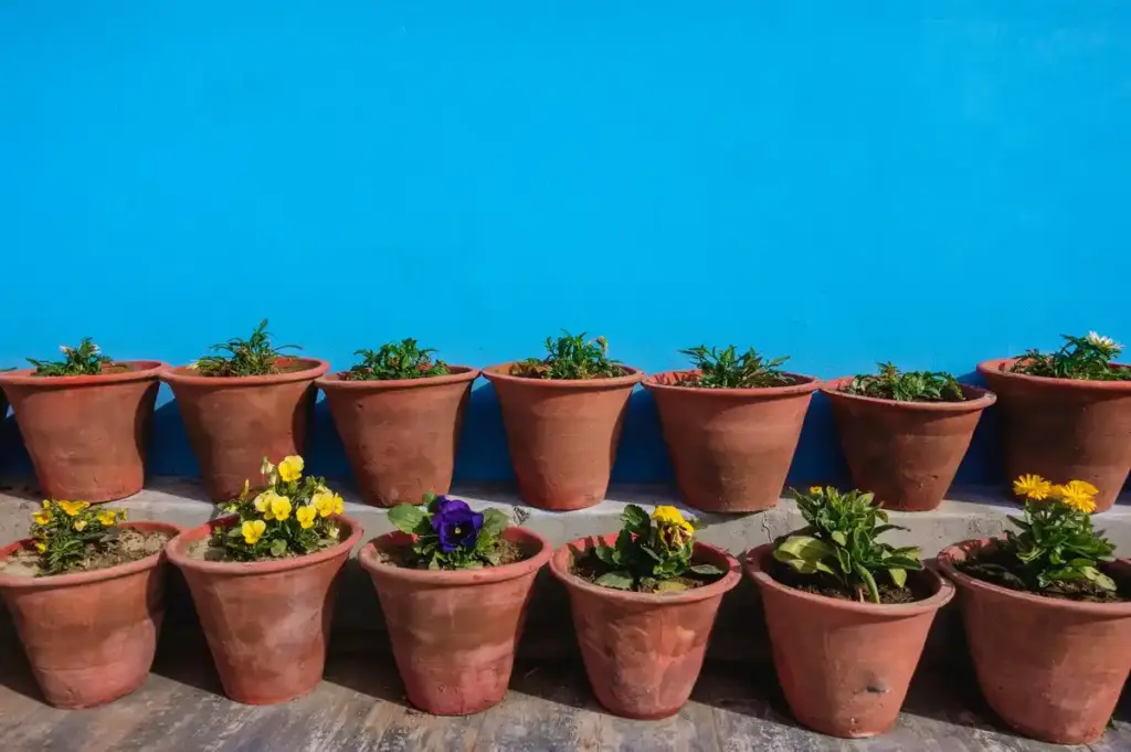 recycled pots for seedlings window urban dutch