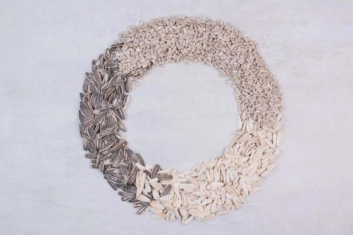 expensive healthy seeds waste of money netherlands