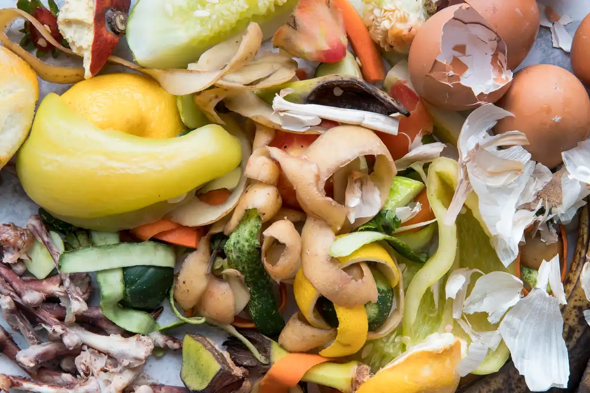 composting kitchen waste in the garden netherlands