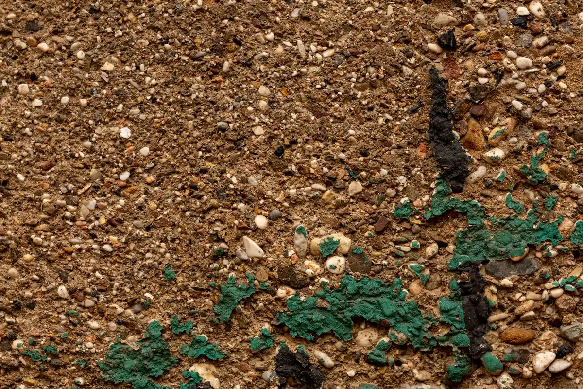 damaged garden soil from synthetic fertilizer netherlands