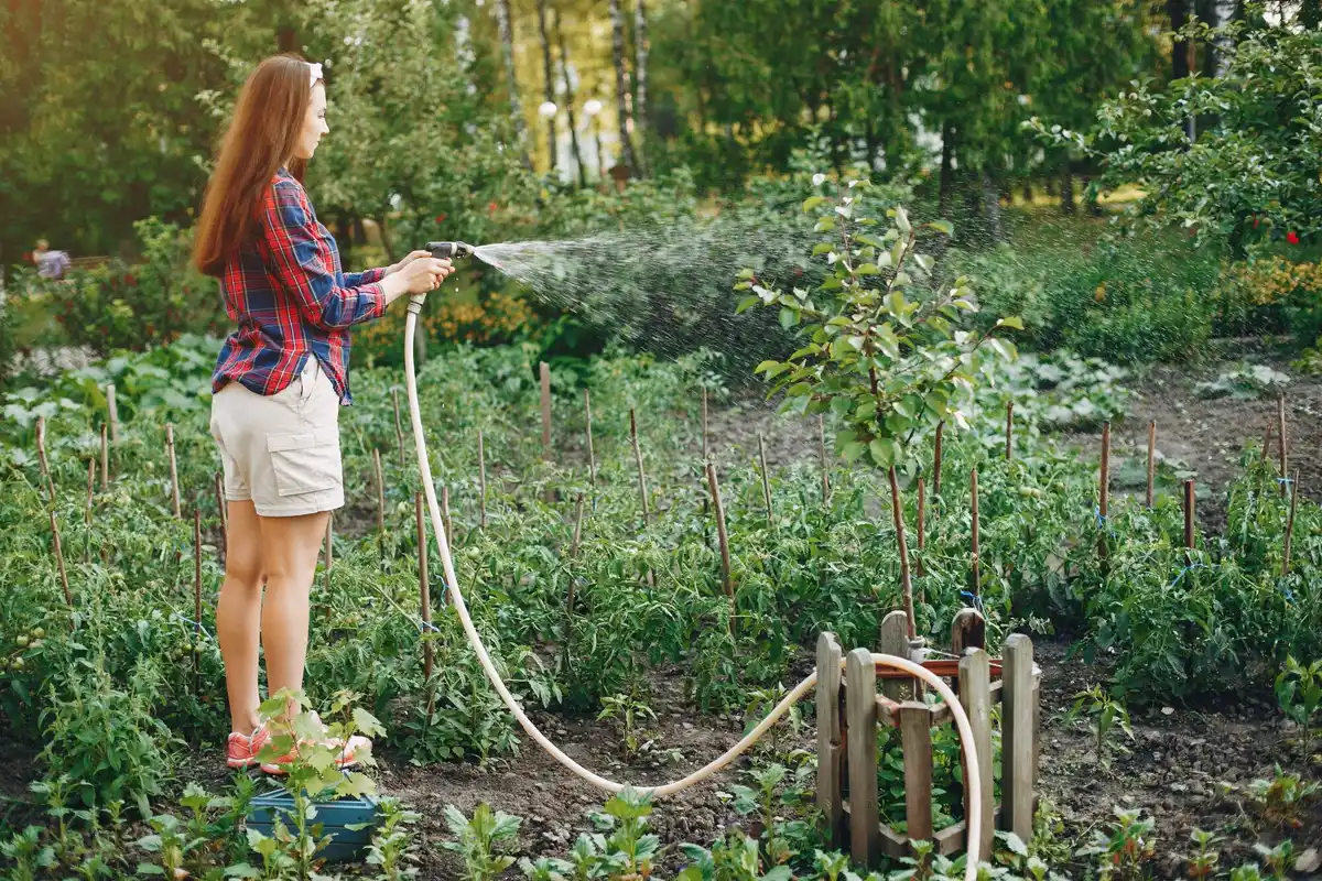 old garden hose reuse ideas netherlands backyard