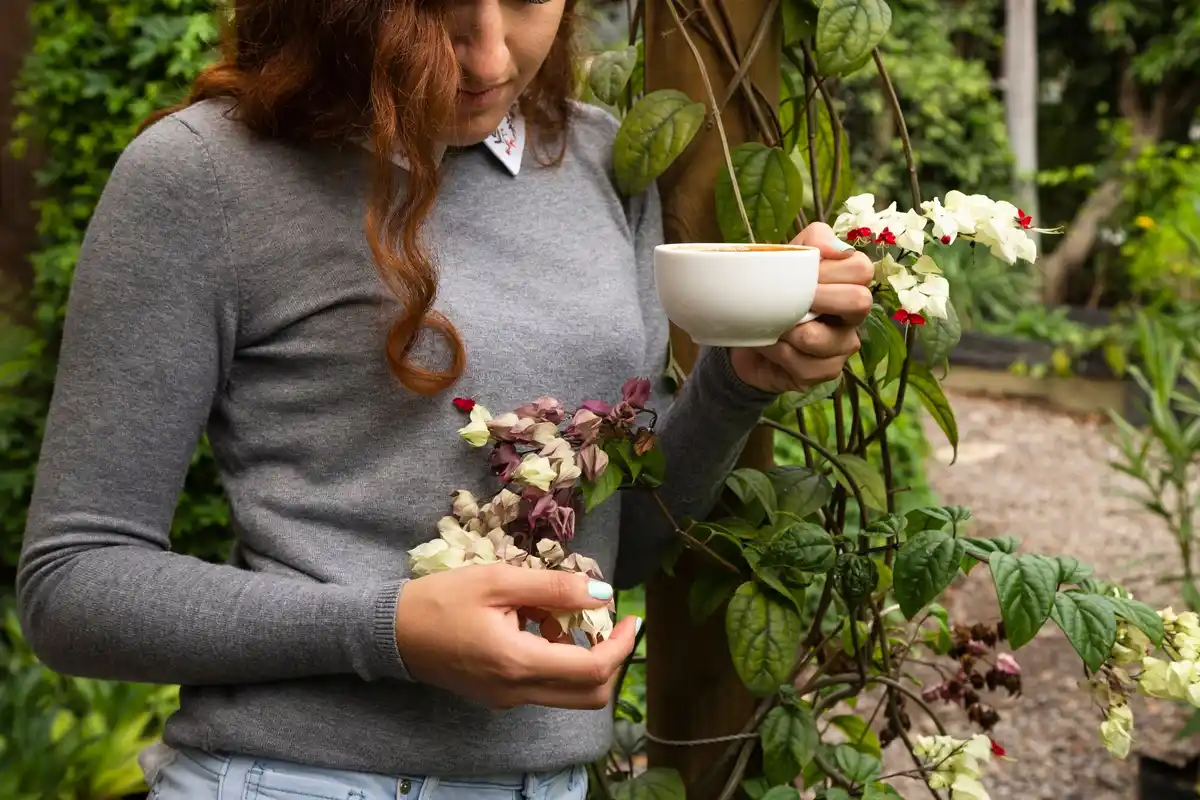 coffee grounds in Dutch garden sustainable