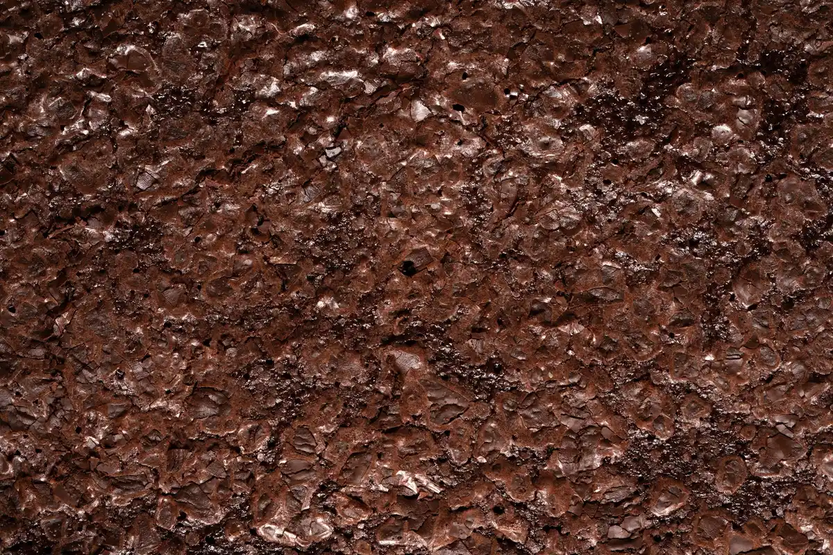 used coffee grounds in garden soil close-up