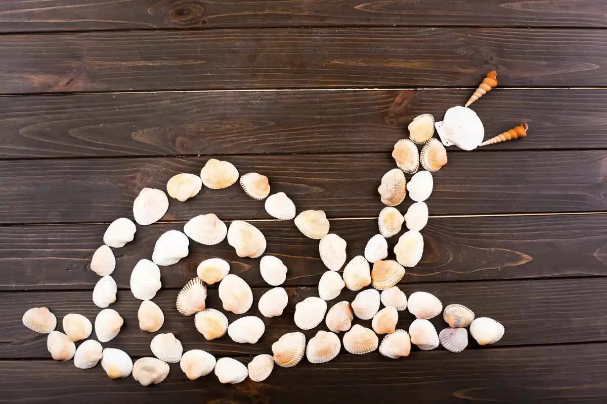 coffee grounds repelling snails organic garden