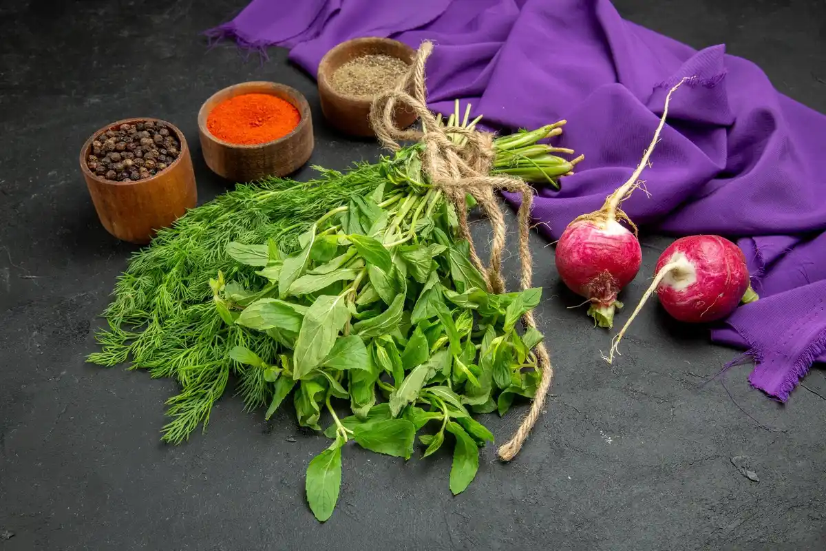 basil parsley garden herbs together illustration