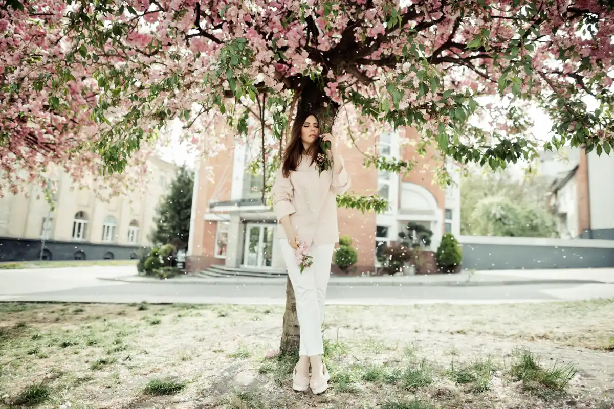 plum tree feng shui tips Netherlands spring garden