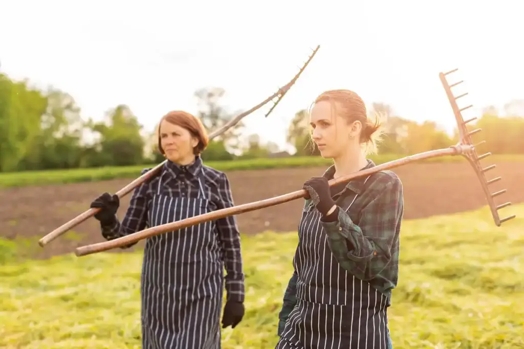 traditional Dutch garden hoe being used by person