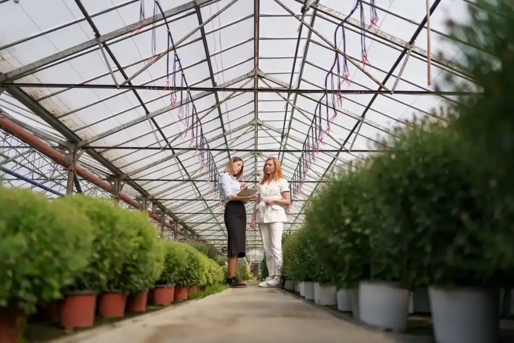 Dutch greenhouse winter dismantle garden