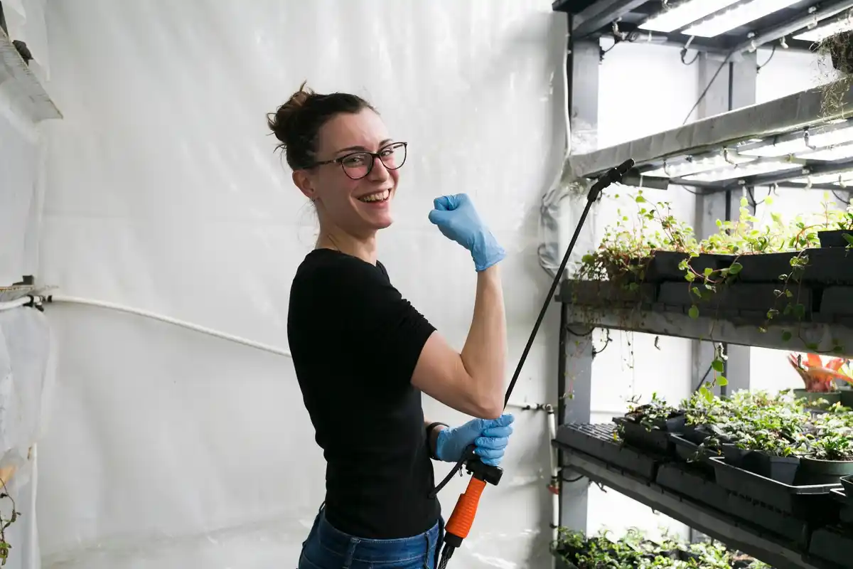 greenhouse cleaning winter Netherlands