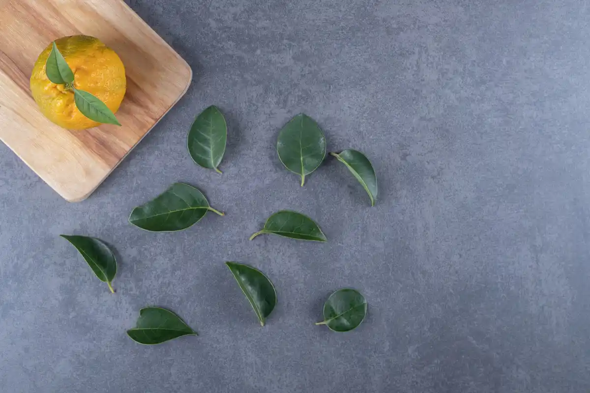 fresh spinach with lemon on a wooden table