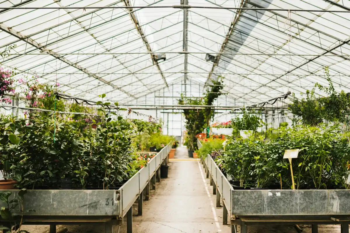 Dutch greenhouse micro ventilation system energy saving