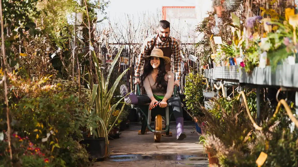 organic gardening netherlands urban