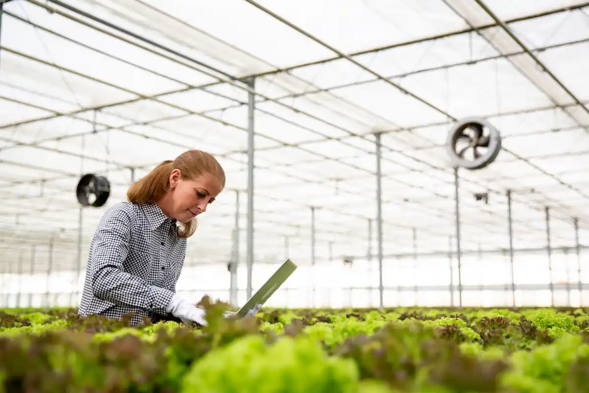 future gardening robot Dutch vegetable garden