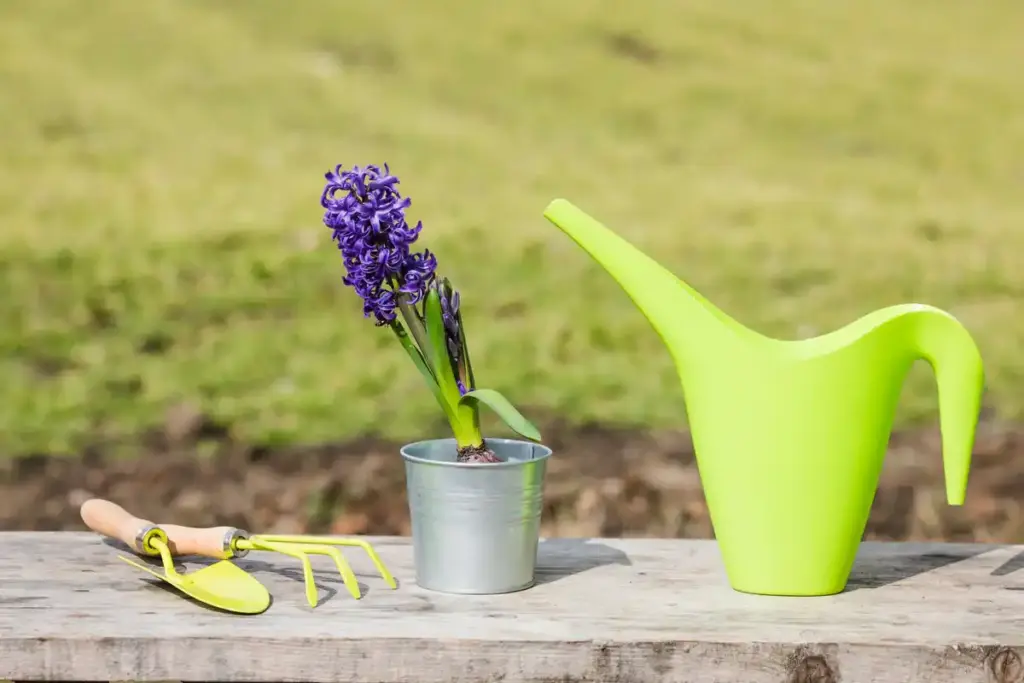 dutch garden rake close-up outdoors practical