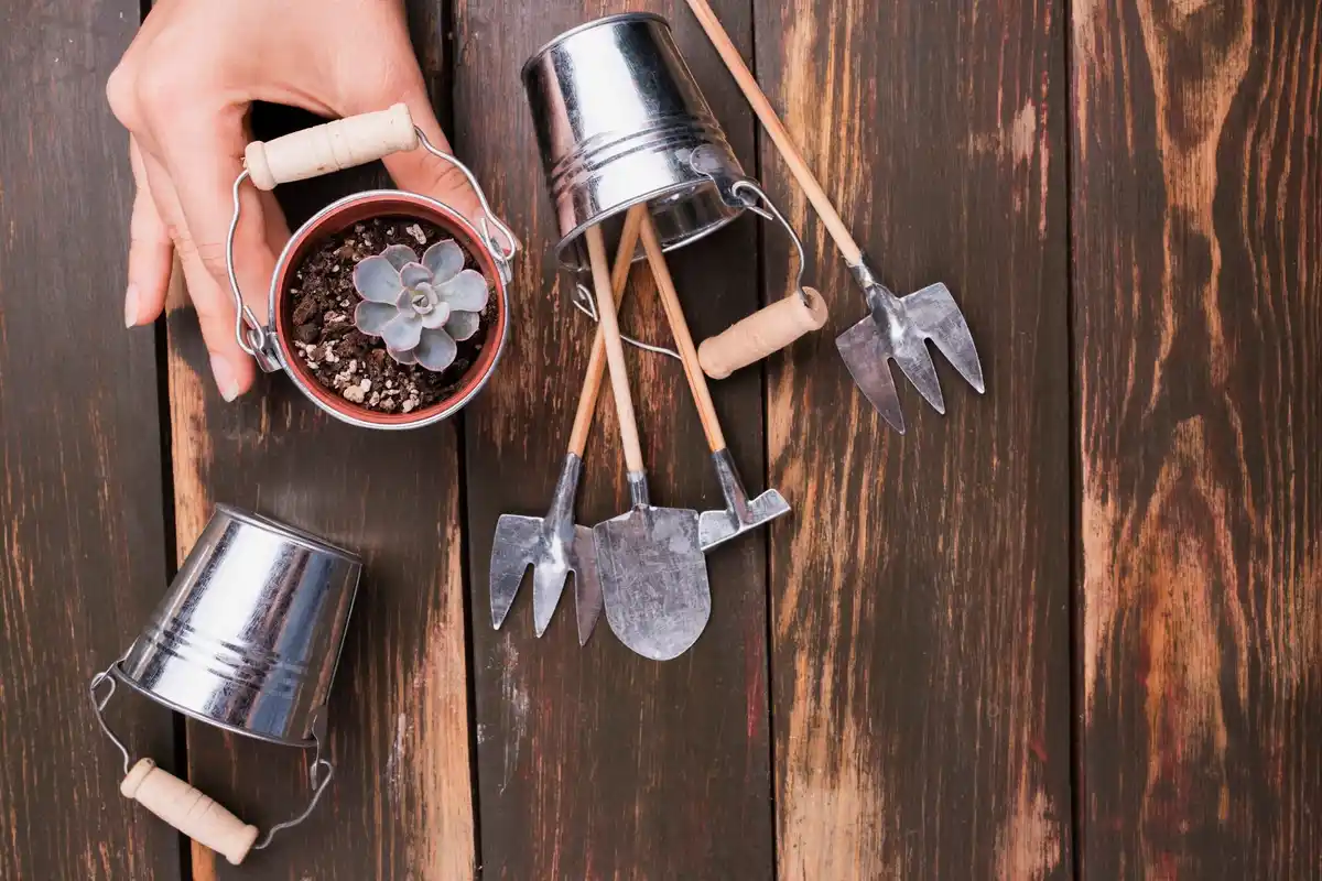 rusty garden tools outdoor shed